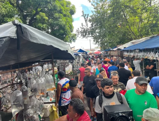 Feira da Parangaba